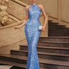 Premium Gala Jurk - Evening & Wedding Occasion Dress